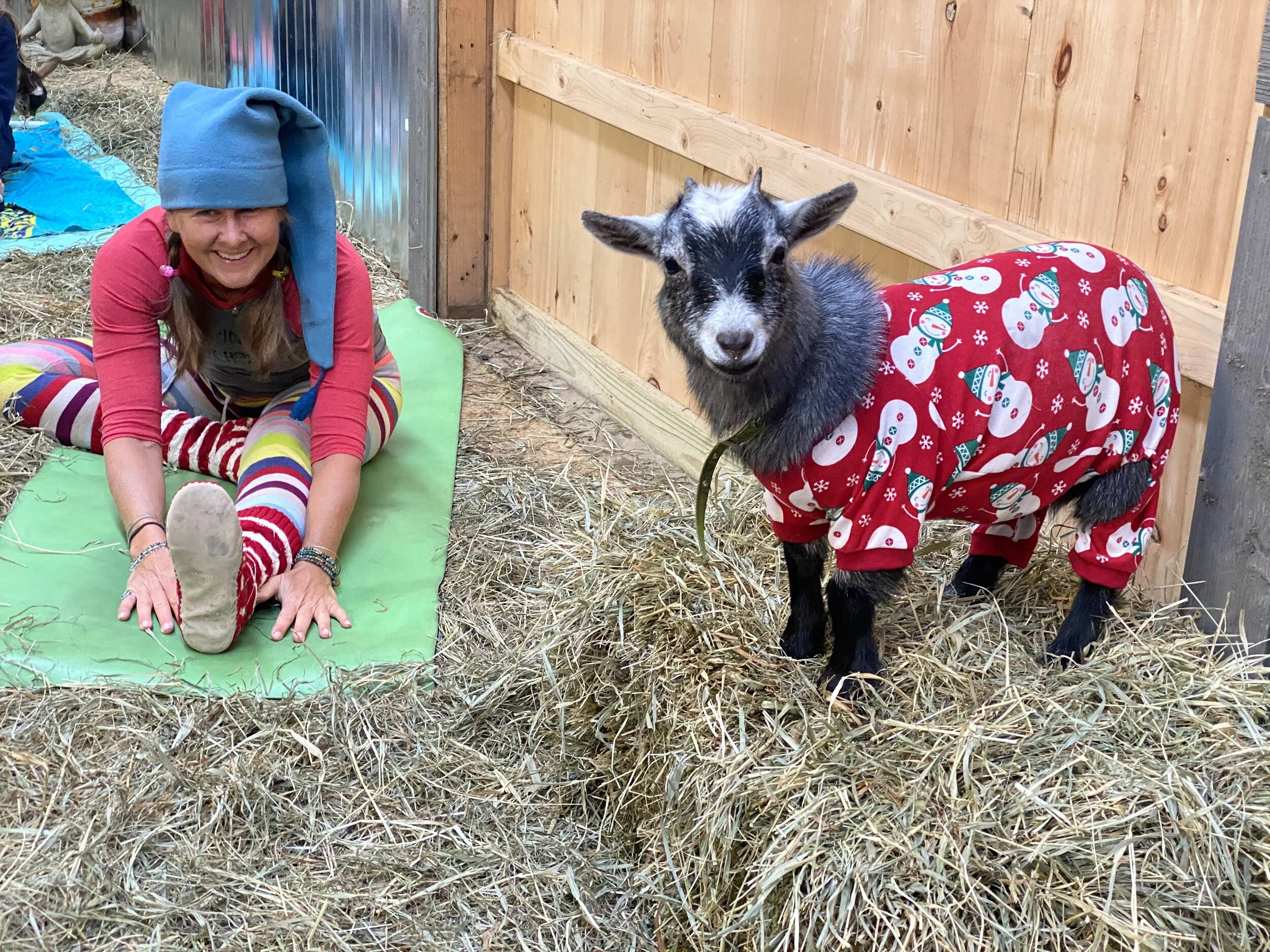 Baby Goats &amp; Yoga Pajama Party (featuring fainting goats!) 