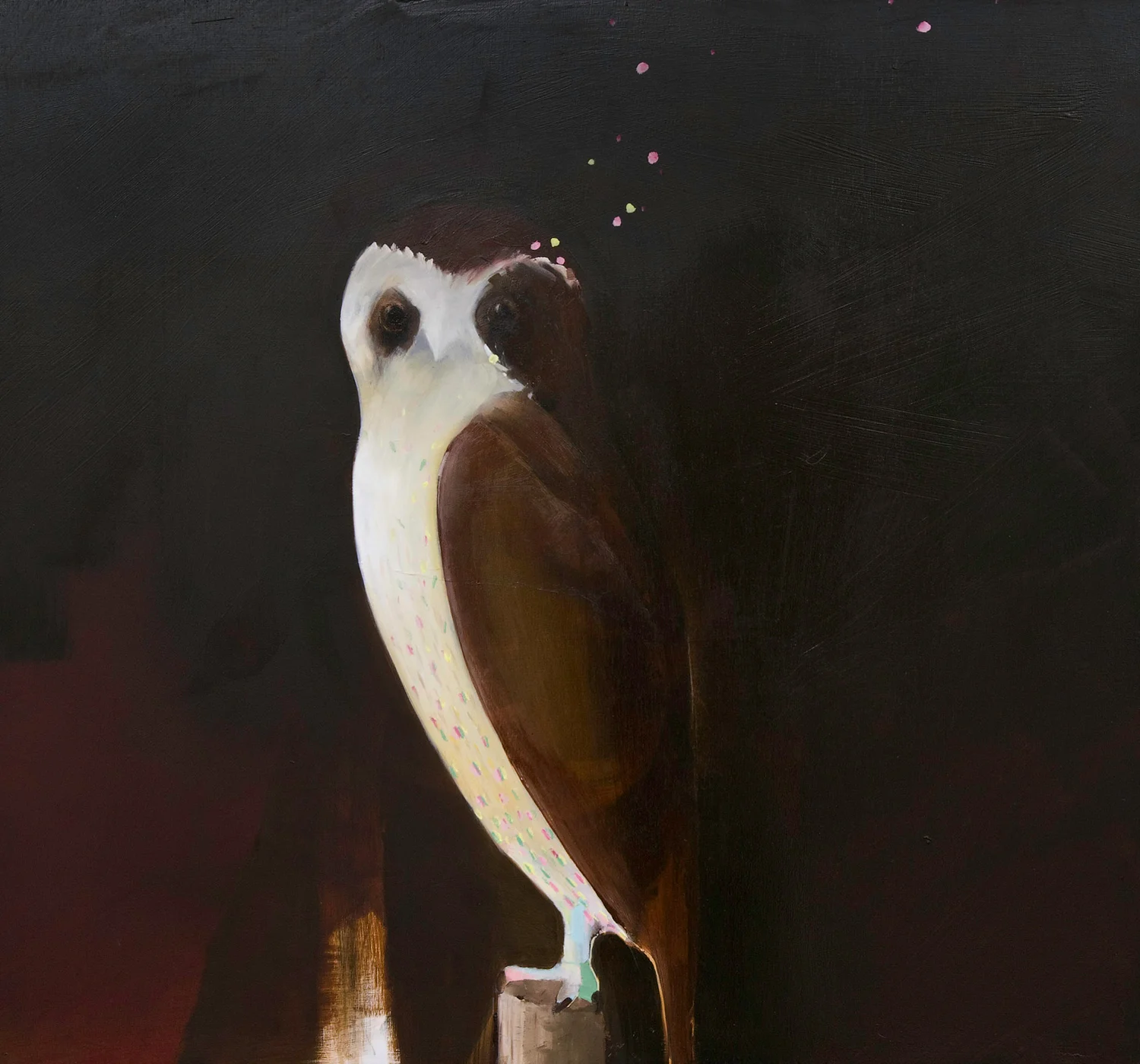 Brown Owl. 2008 Oil on board. 60x60cm