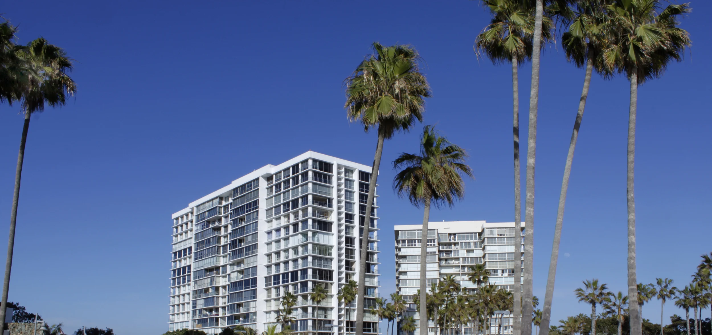 SHORES_print res.jpeg