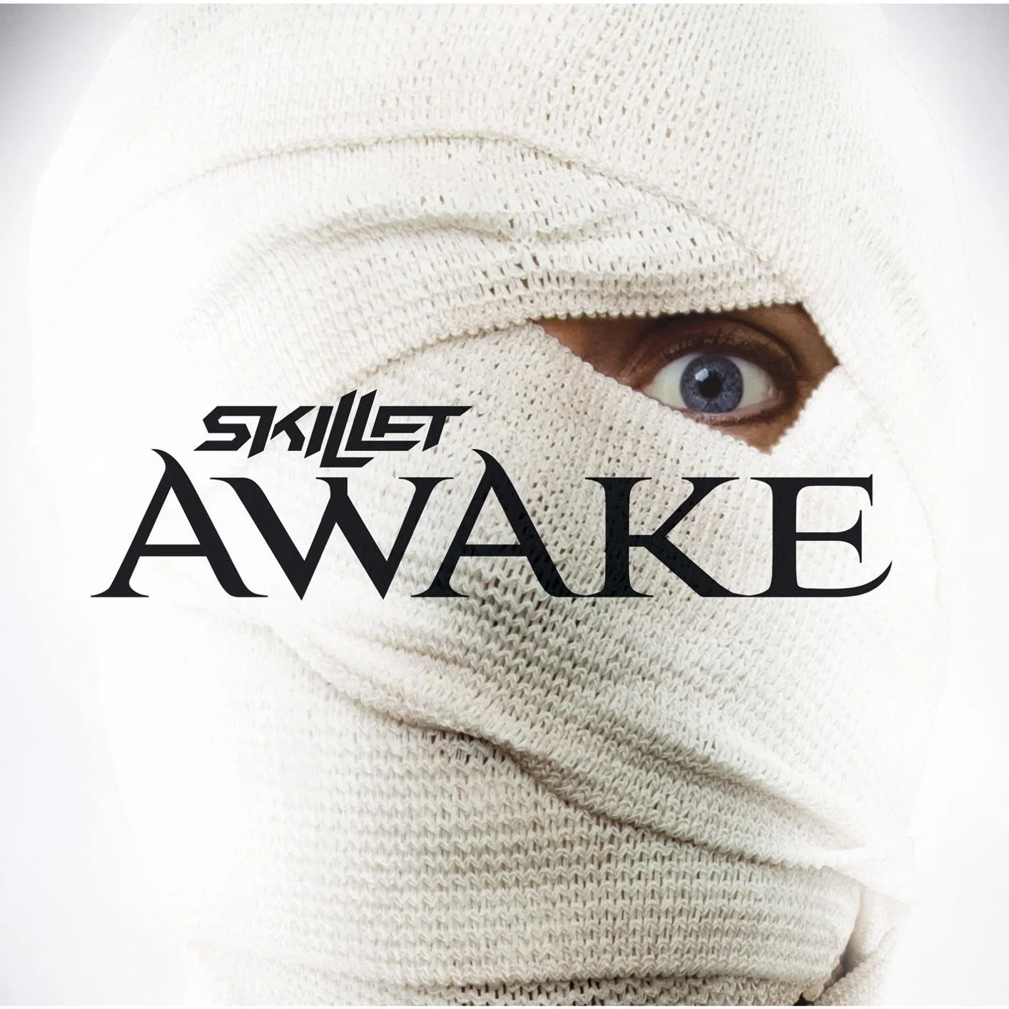 Skillet Awake Album Cover.jpg