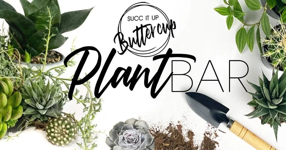 Join @succitupbuttercup1  at Bad Habit Brewing Co. in Saint Joseph on Sunday, March 15th for a fun and creative, self paced planting experience! The event goes from 1-4 p.m.  No pre-registration or ticket required! Visit our facebook event page for m