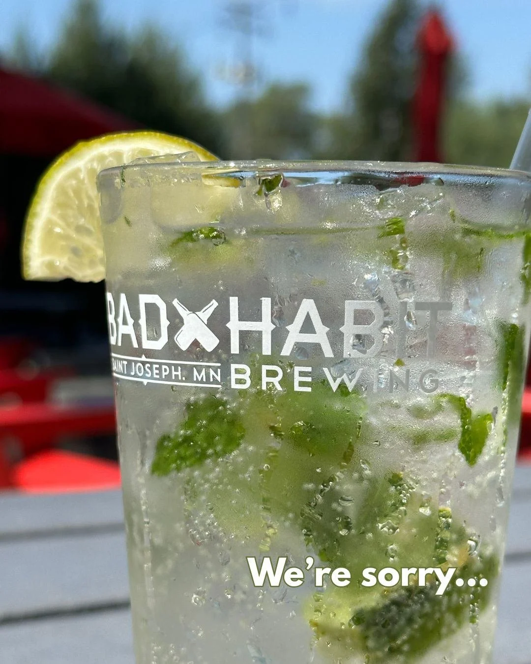 Sorry (not sorry) for the mojito craving. 😉
Taproom opens at 2:00! 
#badhabitbrewing #visitjoetown #mojito #sorrynotsorry