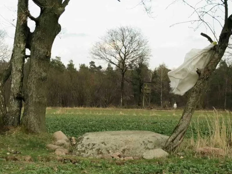 Blumenthalj.jpg