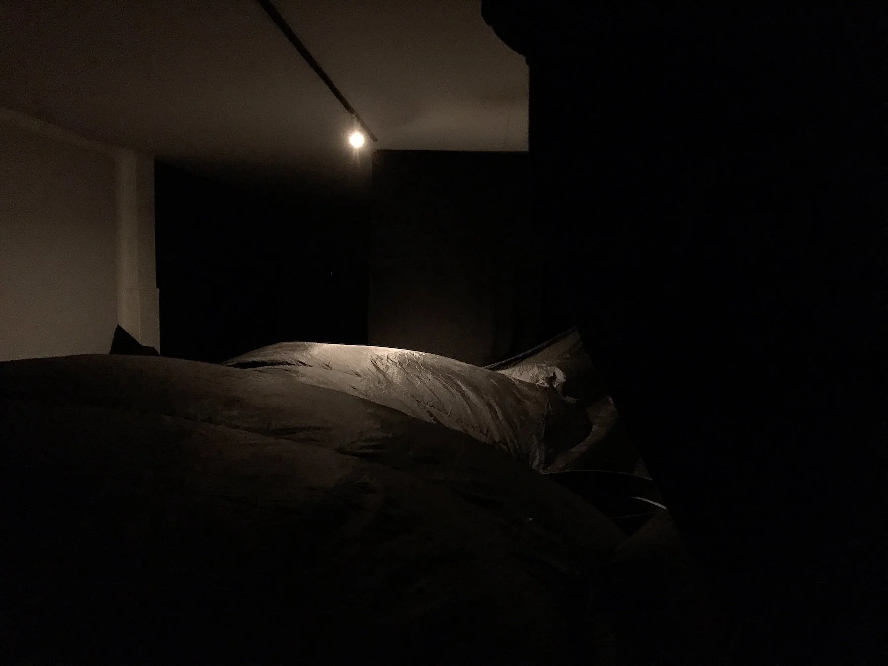 IMG_1199-1.JPEG