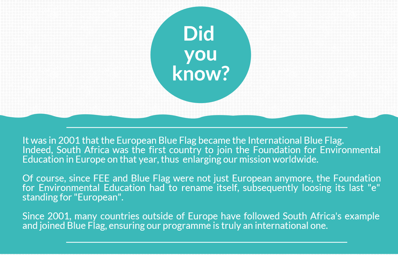 Our History — Blue Flag