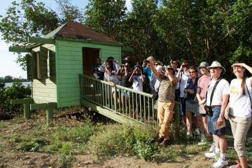 Participants in a free public Bird Walk hosted by Blue Flag site Divi Little Bay Beach Resort