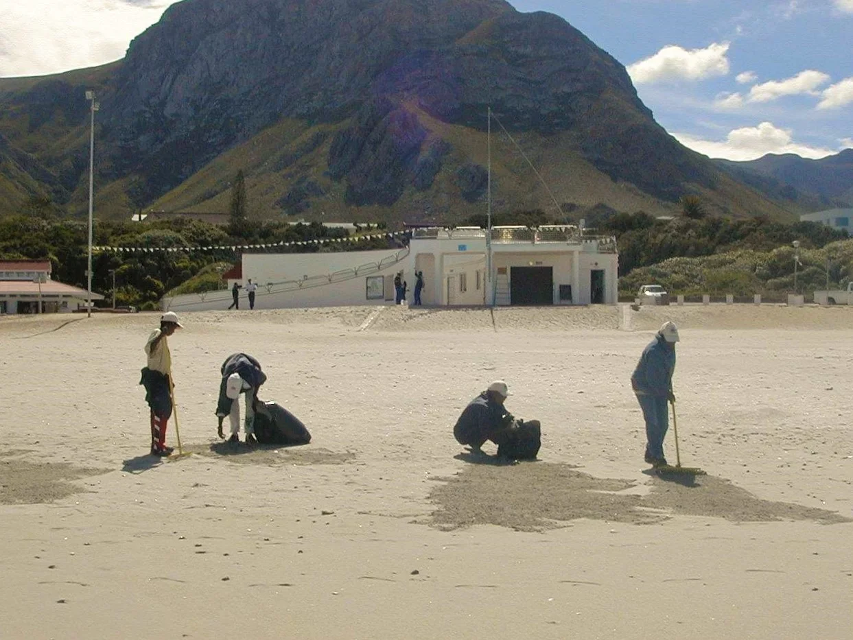 New Blue Flag "ambassador" project in South Africa to employ 200 community members in 2016