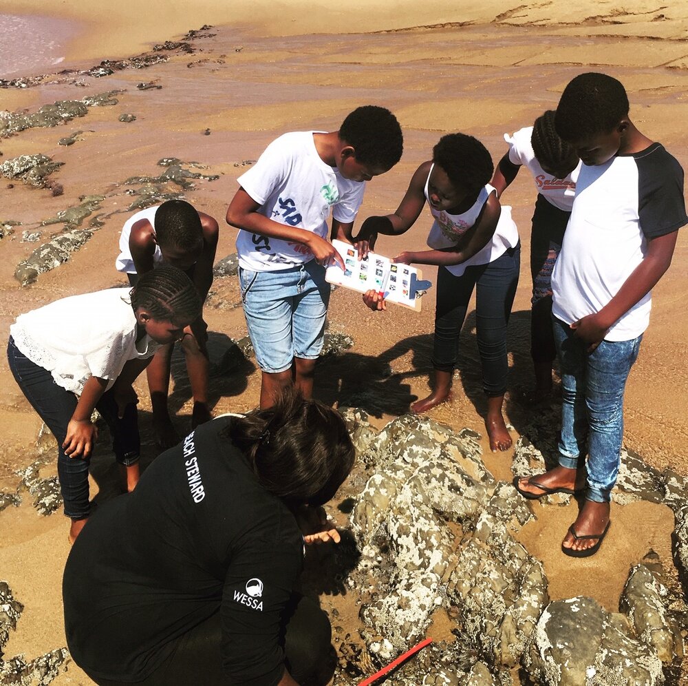 Salt Rock_Environmental Education_learners finding rocky shore animals and plants.jpg