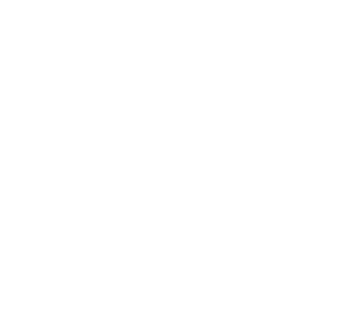   Young Reporters for the Environment  