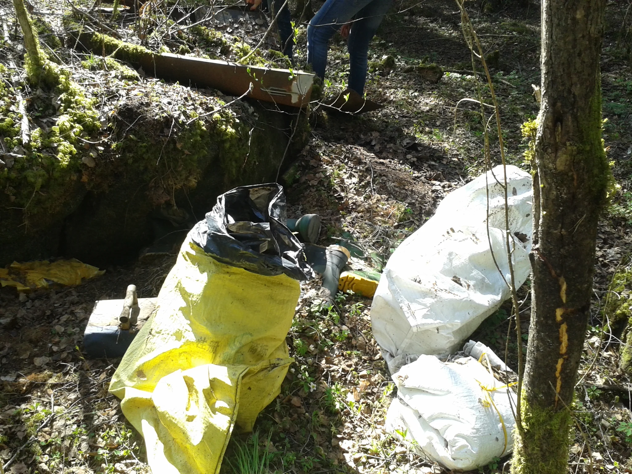 Waste in the forest before cleaning in 2015.