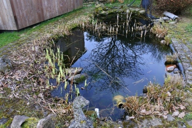 The pond in the garden of La Grange d'Ychippe (Picture by E. Uskokovic)