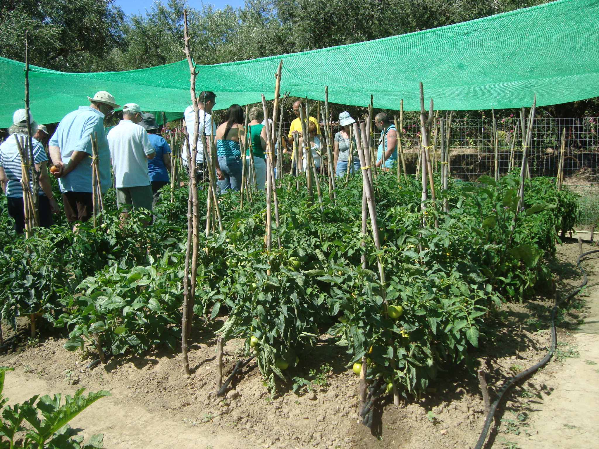 Green Activities garden tour 5.JPG