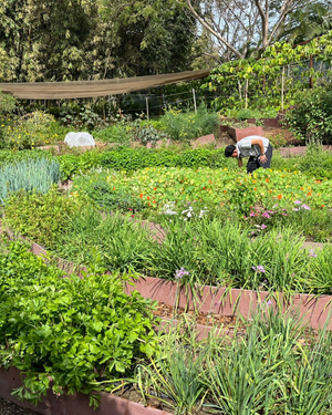 2025_GreenKey_Mexico (5).png