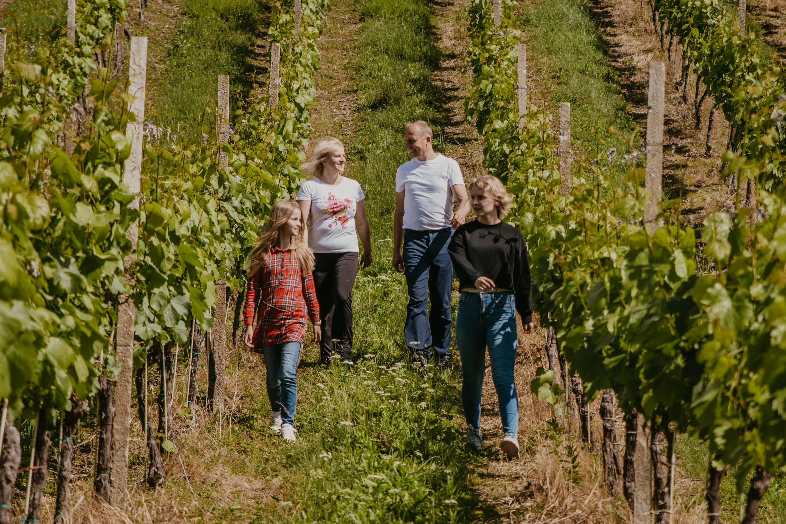 Where Tradition Meets Sustainability: A Living Story from the Heart of Slovenian Wine Hills 