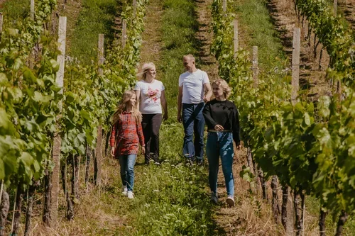 Where tradition meets sustainability: A living Story from the heart of Slovenian wine hills