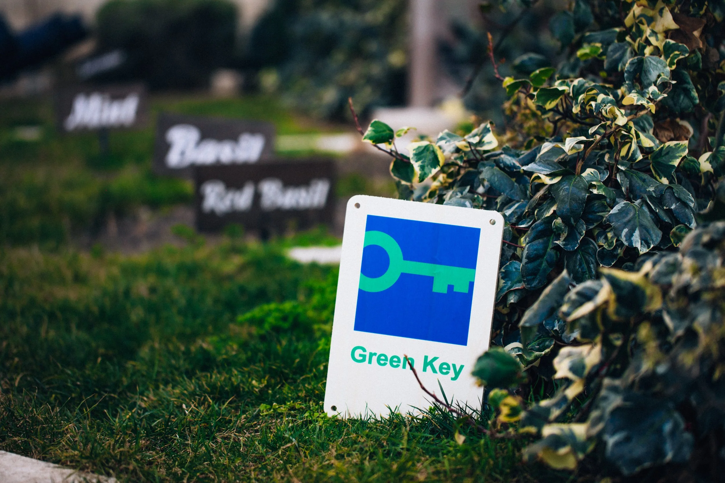Green Key — First Green Key certification in Azerbaijan with JW ...