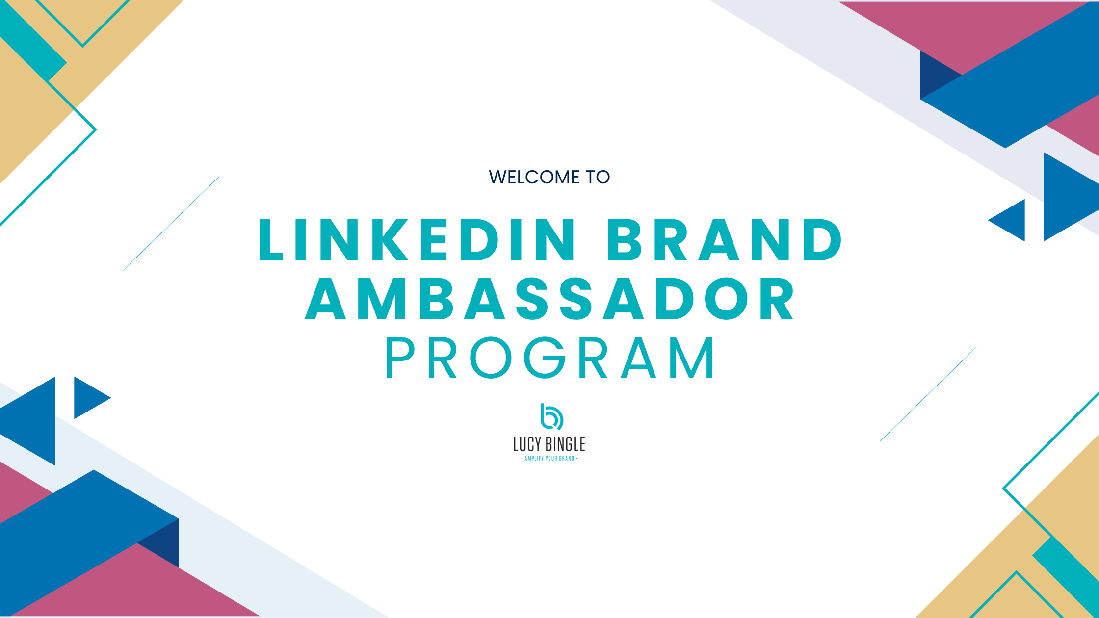 LINKEDIN BRAND AMBASSADOR PROGRAM.png