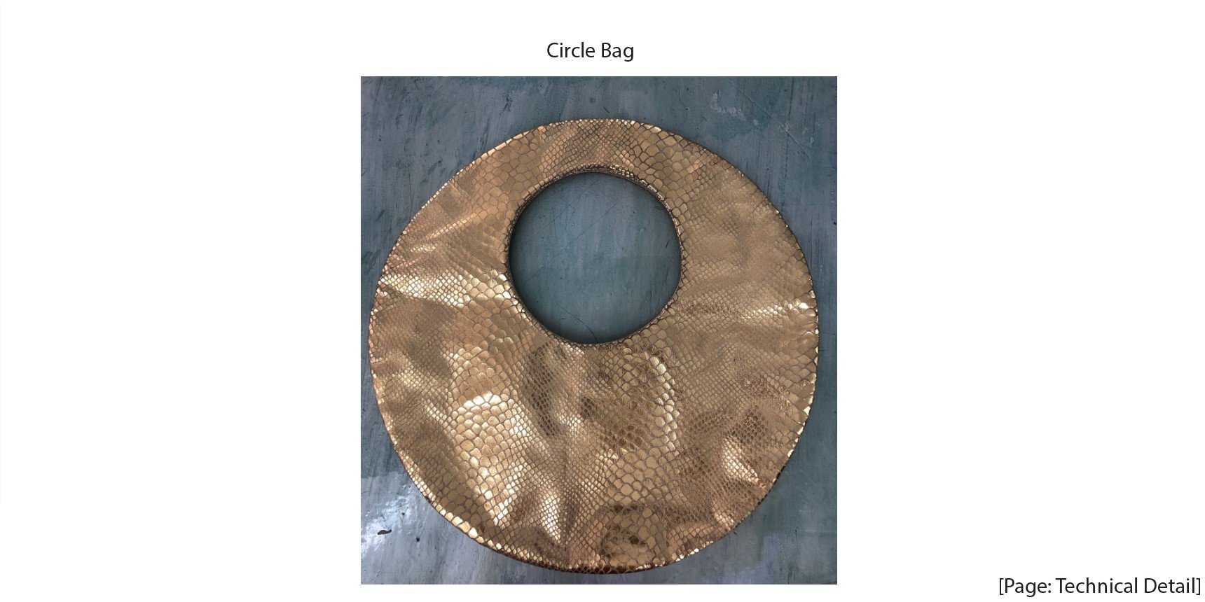 lux circle bag photo.jpg