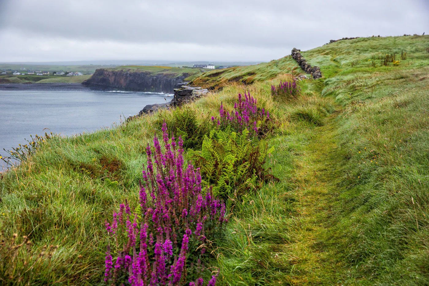 Walking-the-Cliffs-of-Moher-from-Doolin.jpg.optimal.jpg