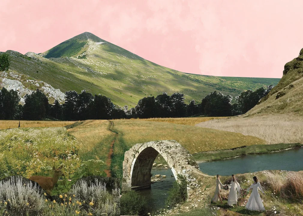 Home_AncestorBridge_Collage_Serbia.jpg