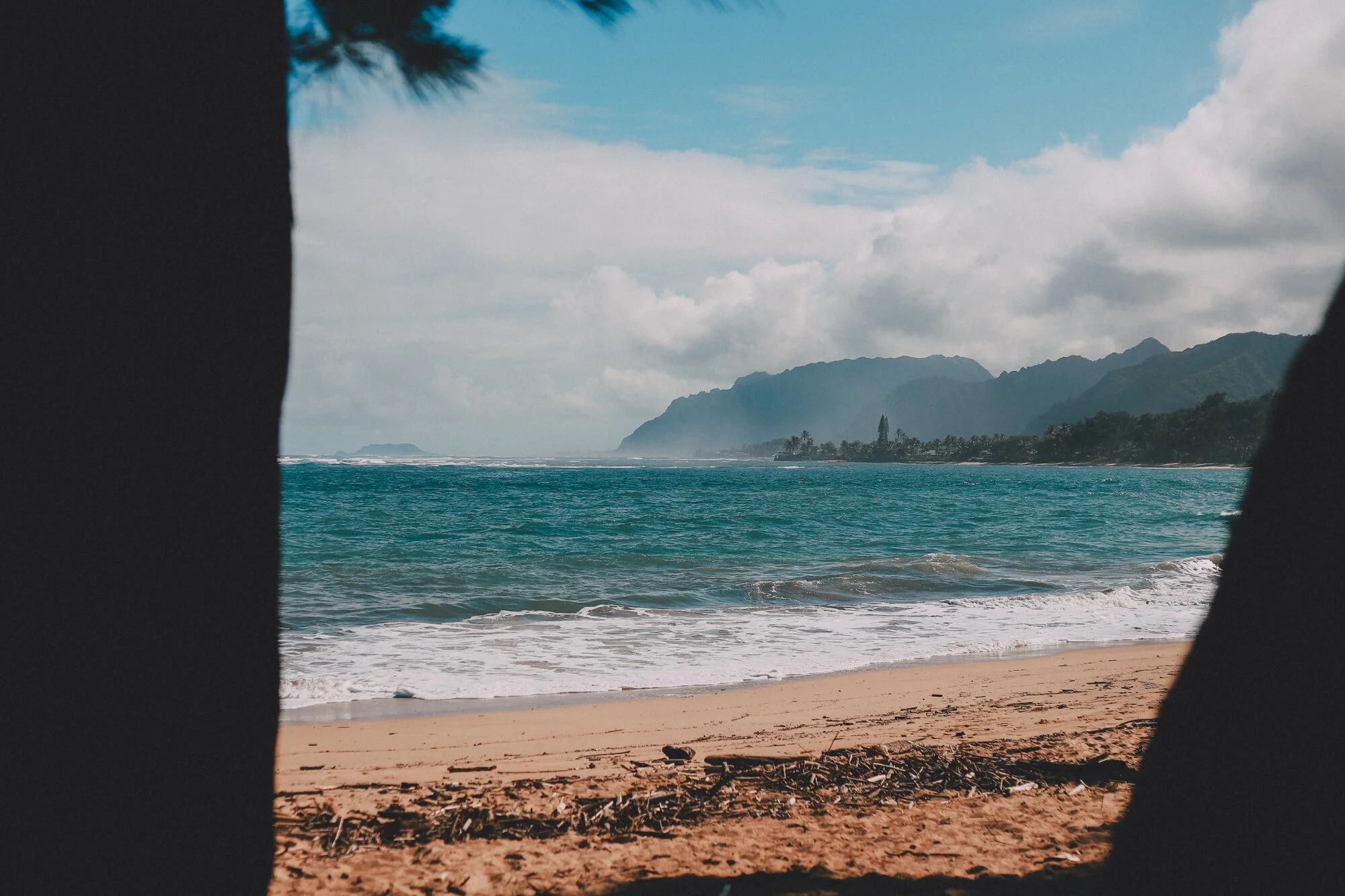1-10-19-Hawaii-FoodTour-56.jpg