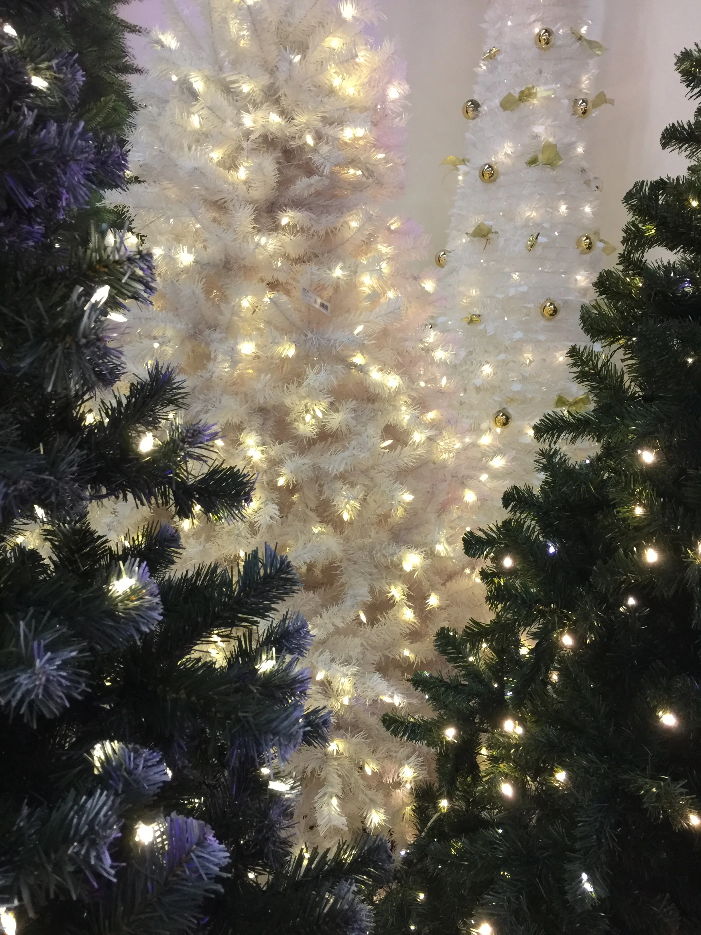 Christmas is a part of the August fair.