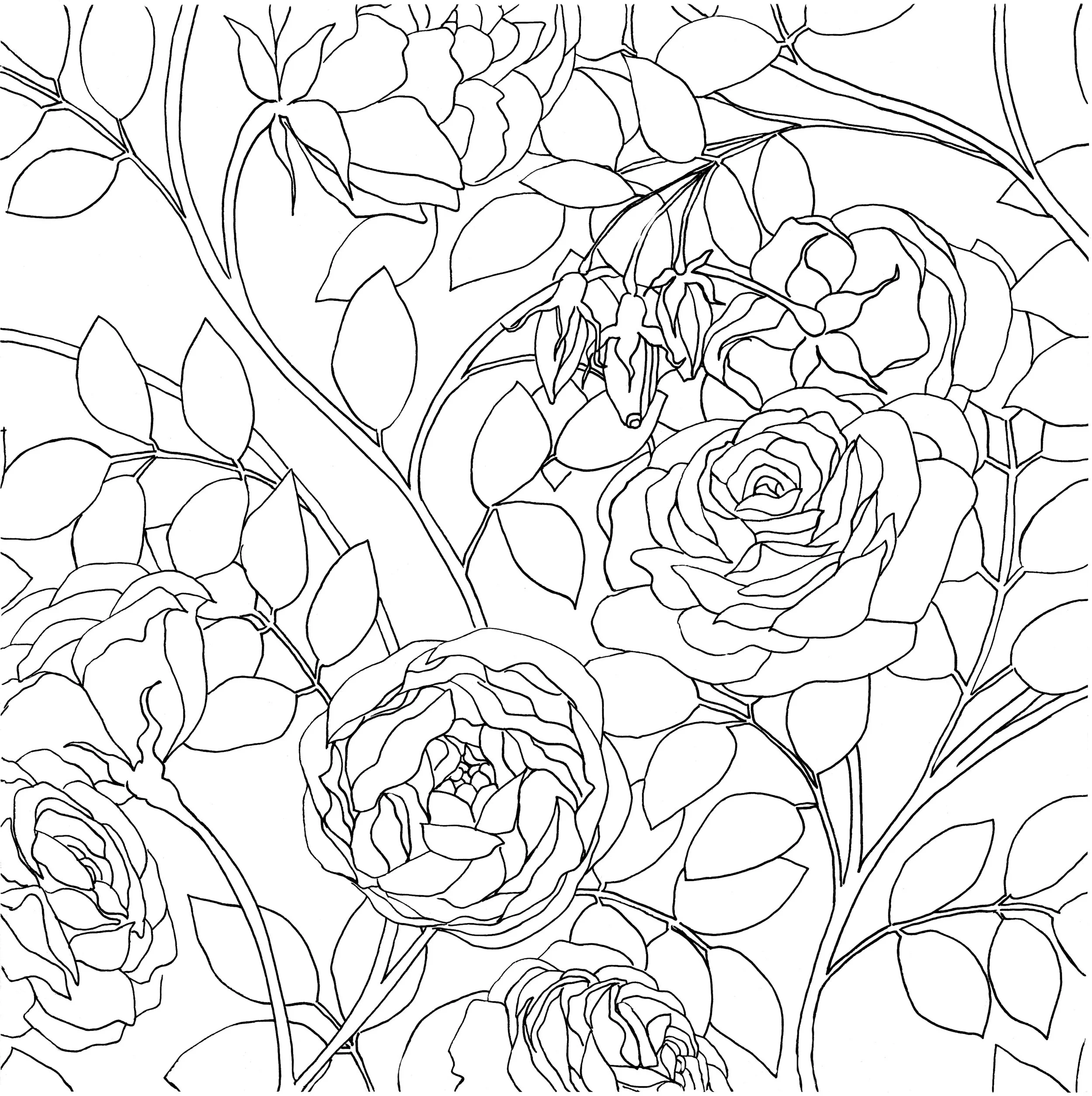 Roses1.jpeg