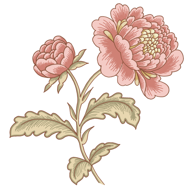 Blomma.png
