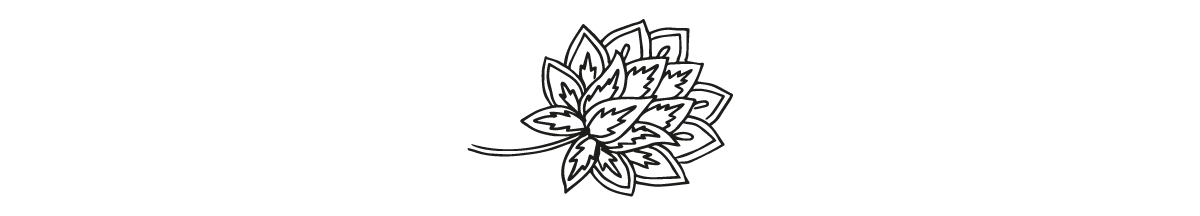 Indian_Floral_thin.png