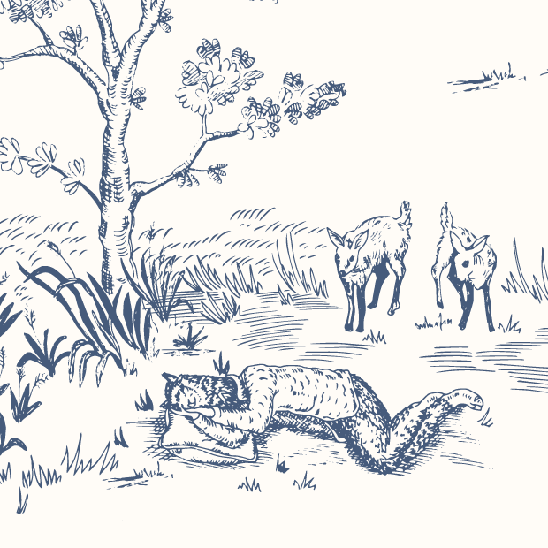 MyAlpaca_glimpse3.png
