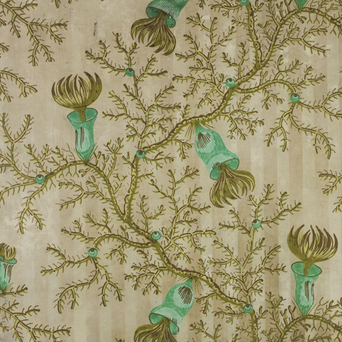 Wallpaper with a stripe background, 1837. Image: Victoria and Albert Museum.