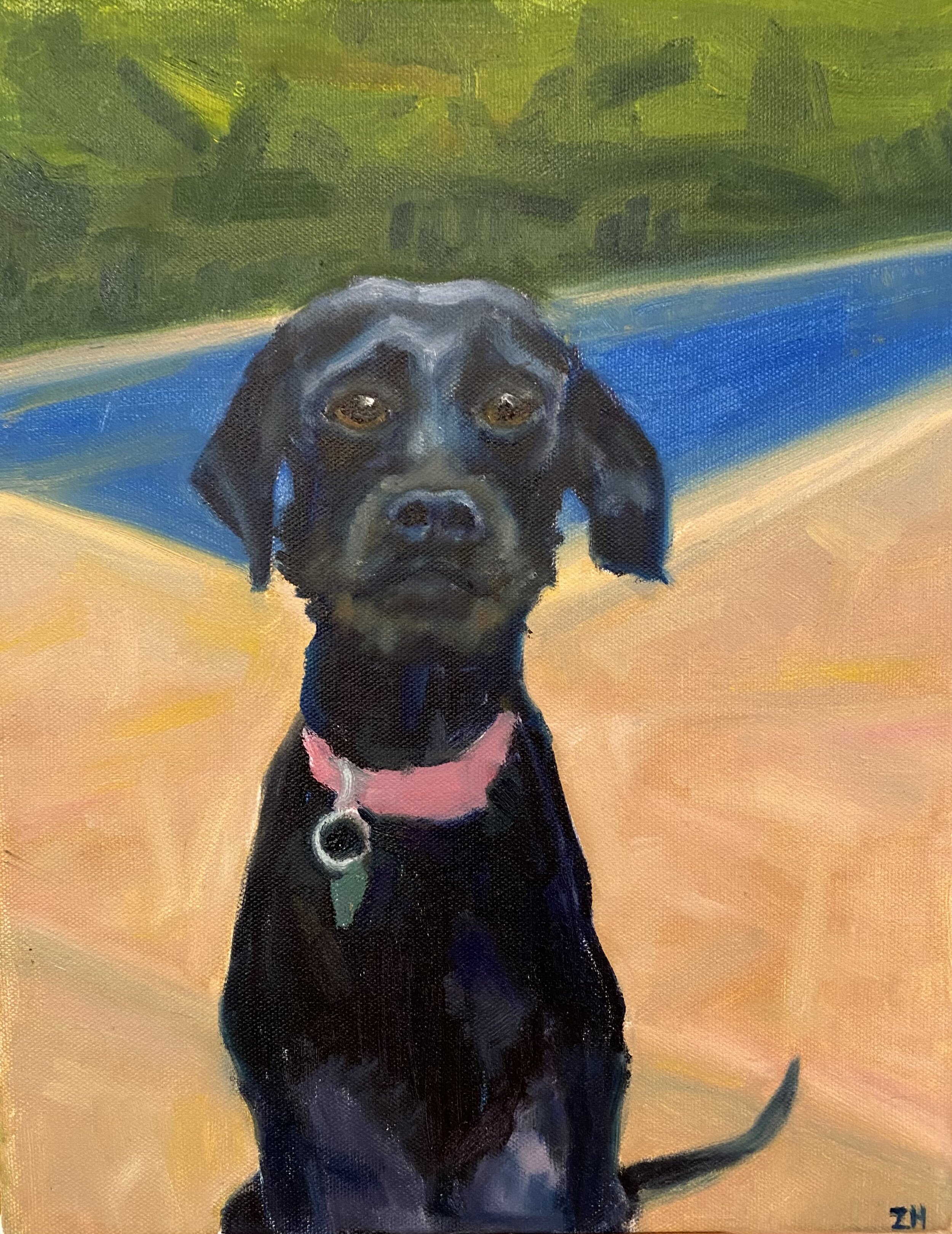 A client's dog, Ruby  (2020),