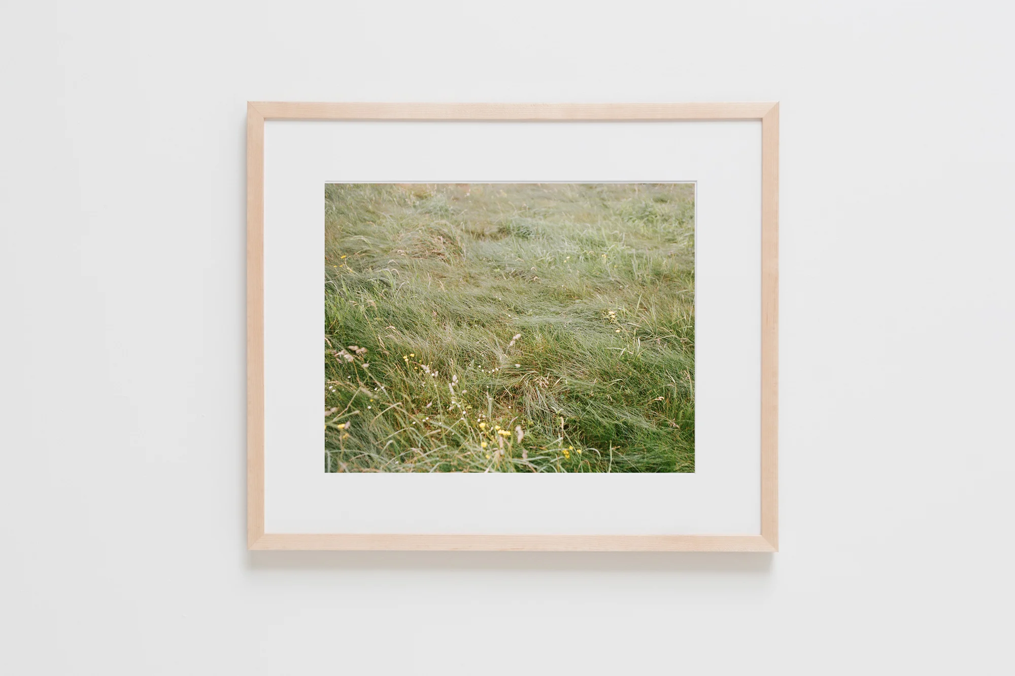 Natural Frames-1.jpg