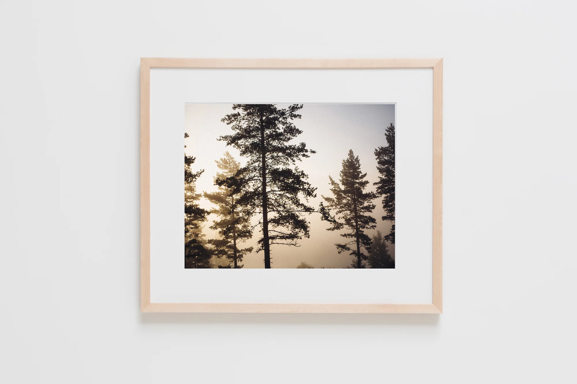 Natural Frames-3.jpg