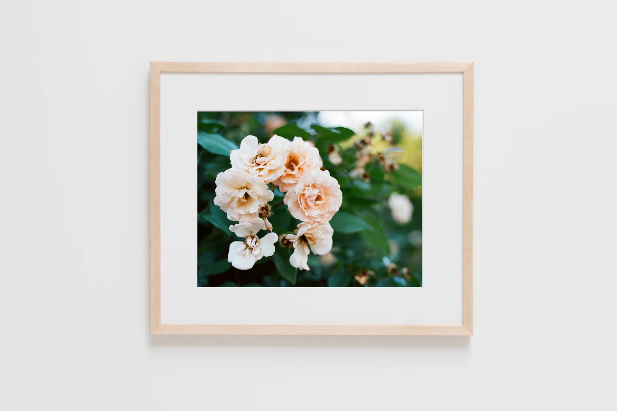 Natural Frames-34.jpg