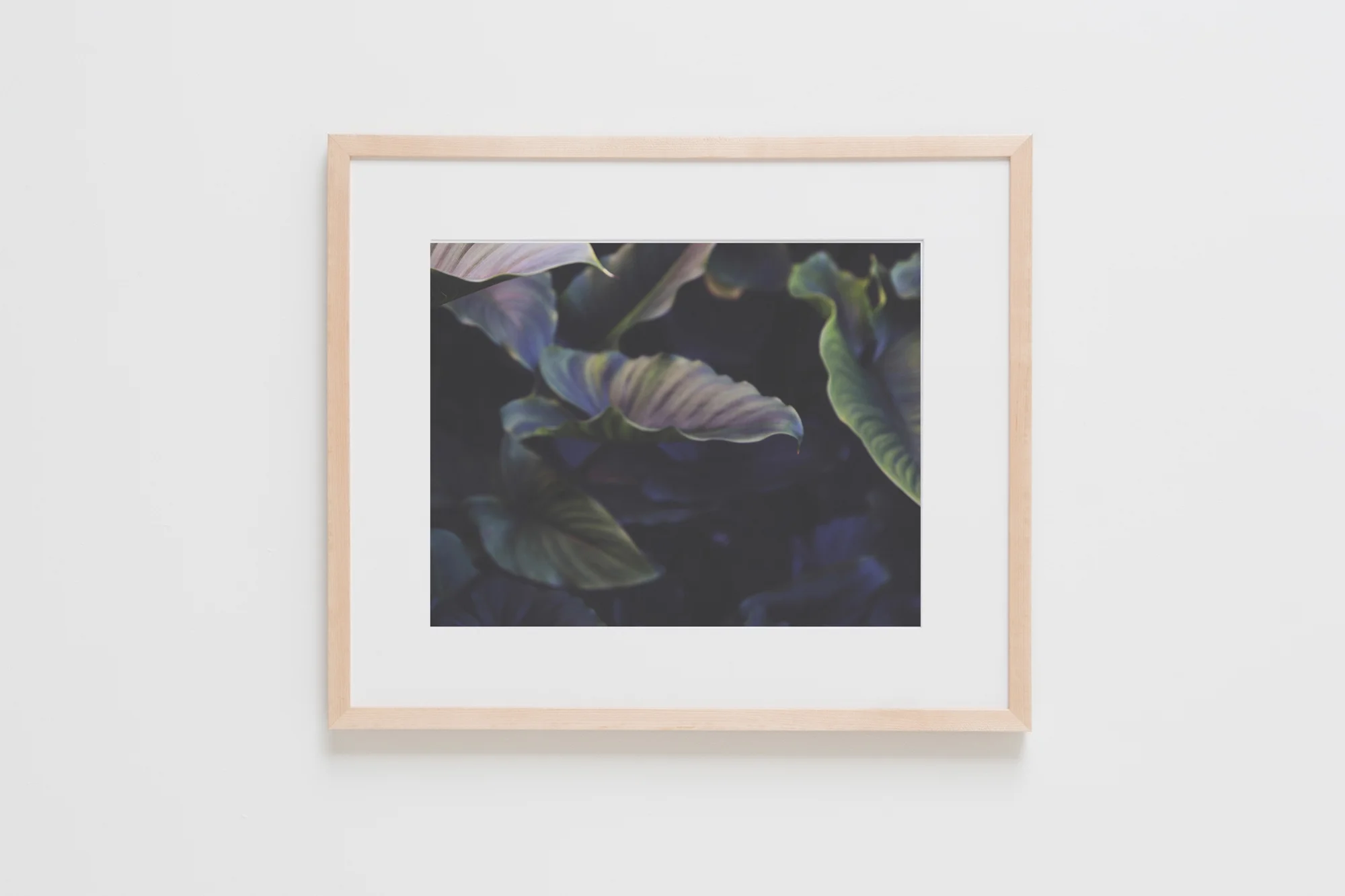 Natural Frames-29.jpg