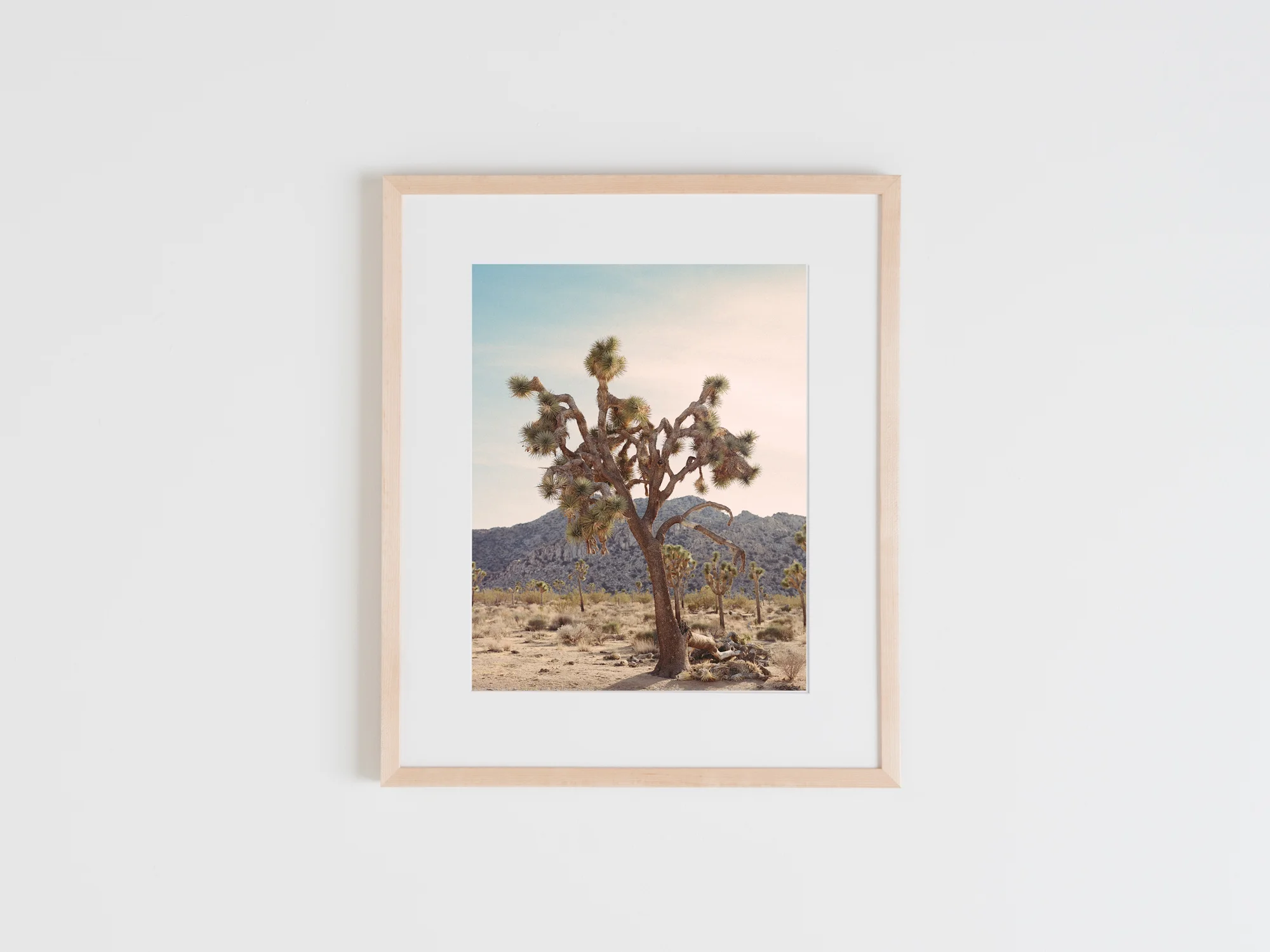 Natural Frames-50.jpg