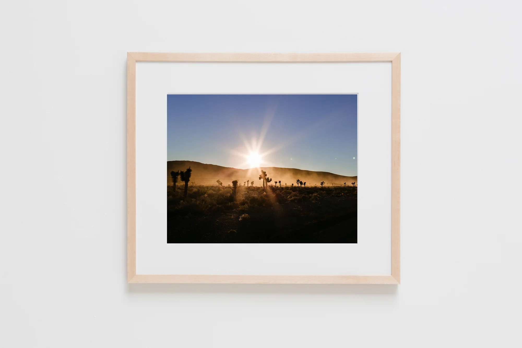 Natural Frames-66.jpg