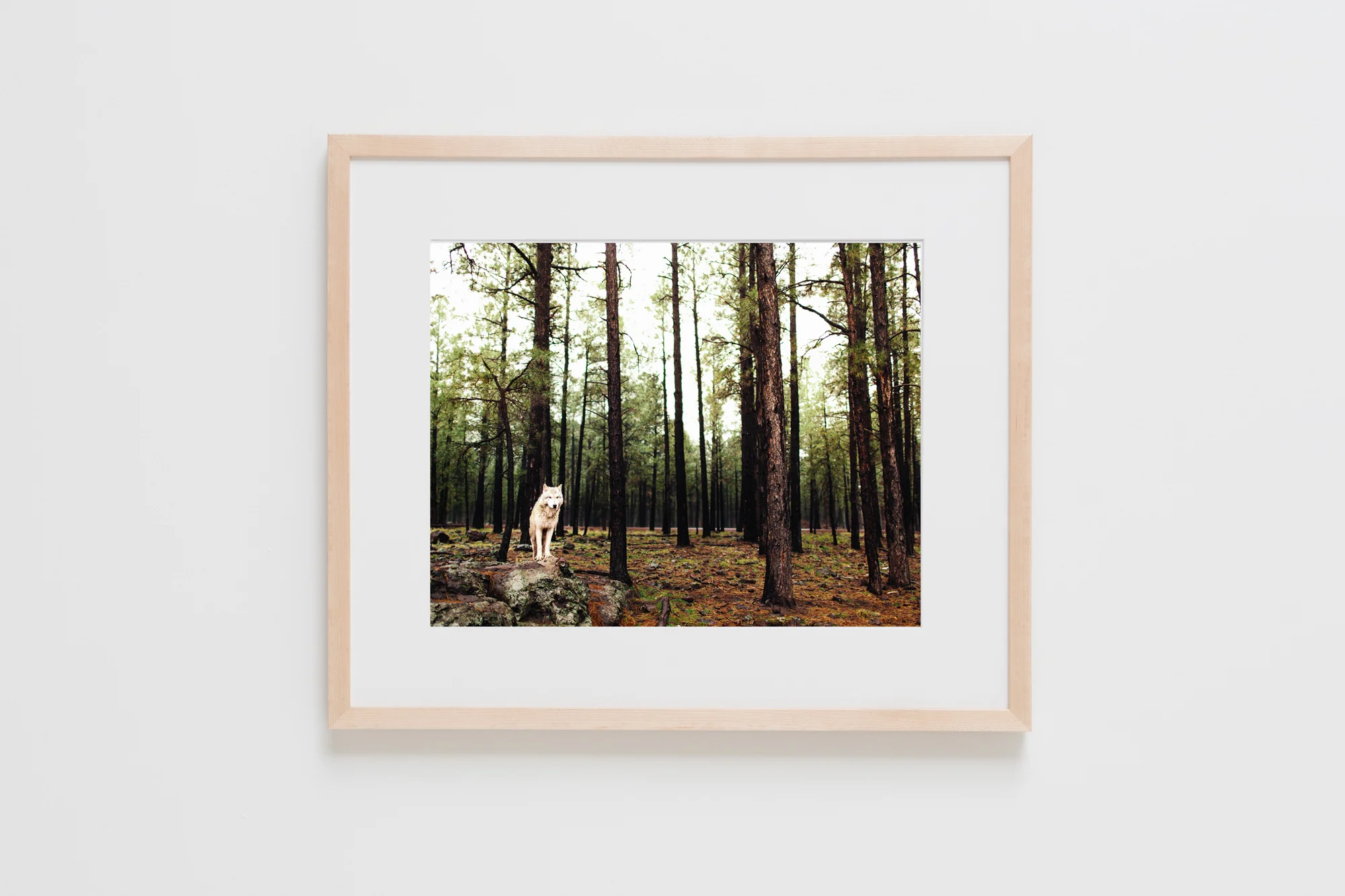 Natural Frames-65.jpg