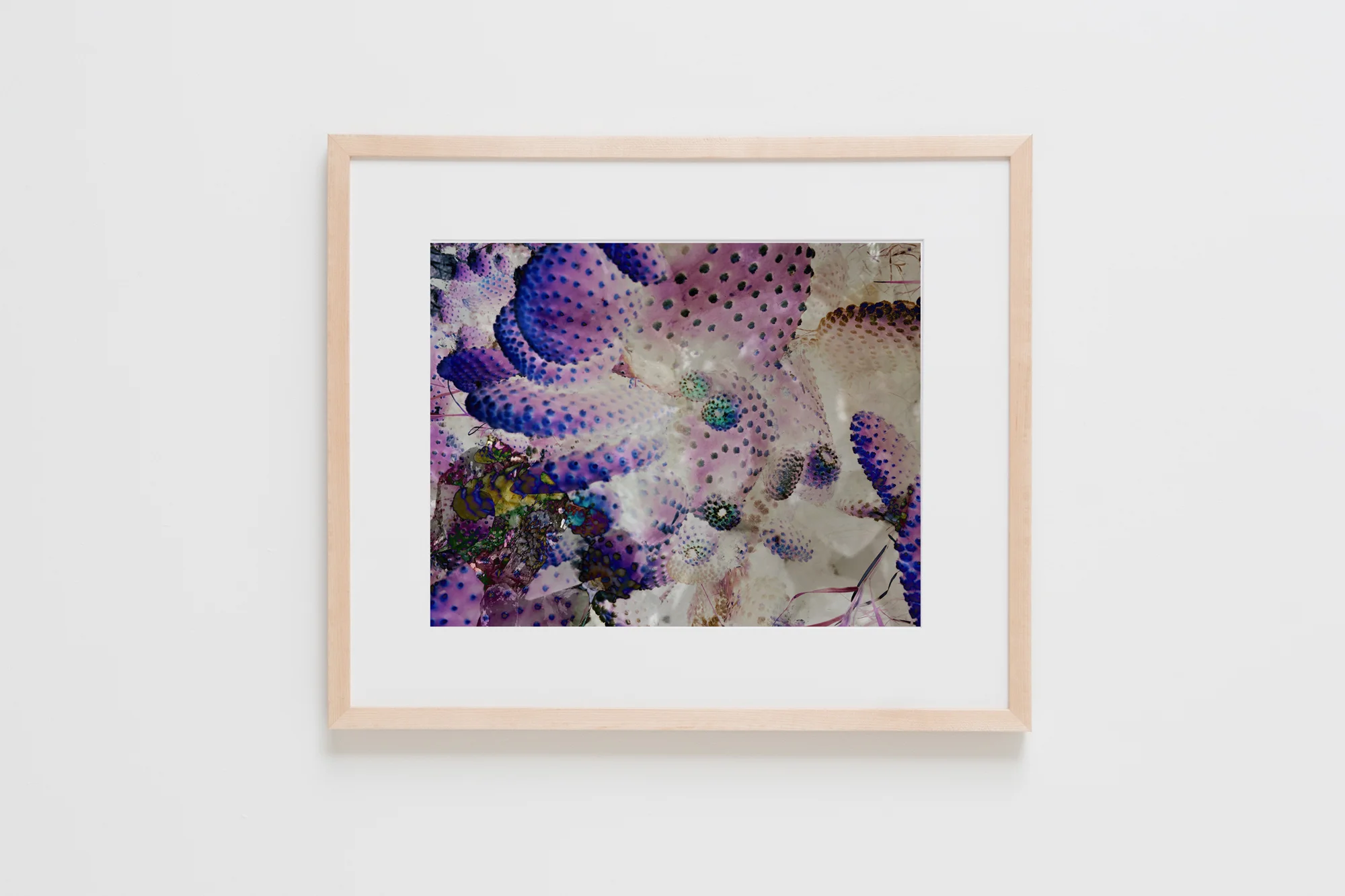 Natural Frames-81.jpg