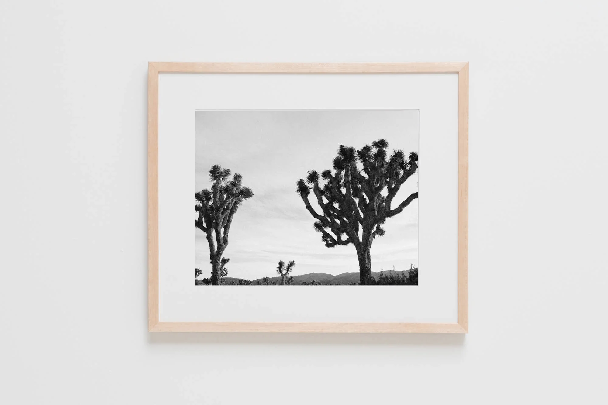 Natural Frames-102.jpg