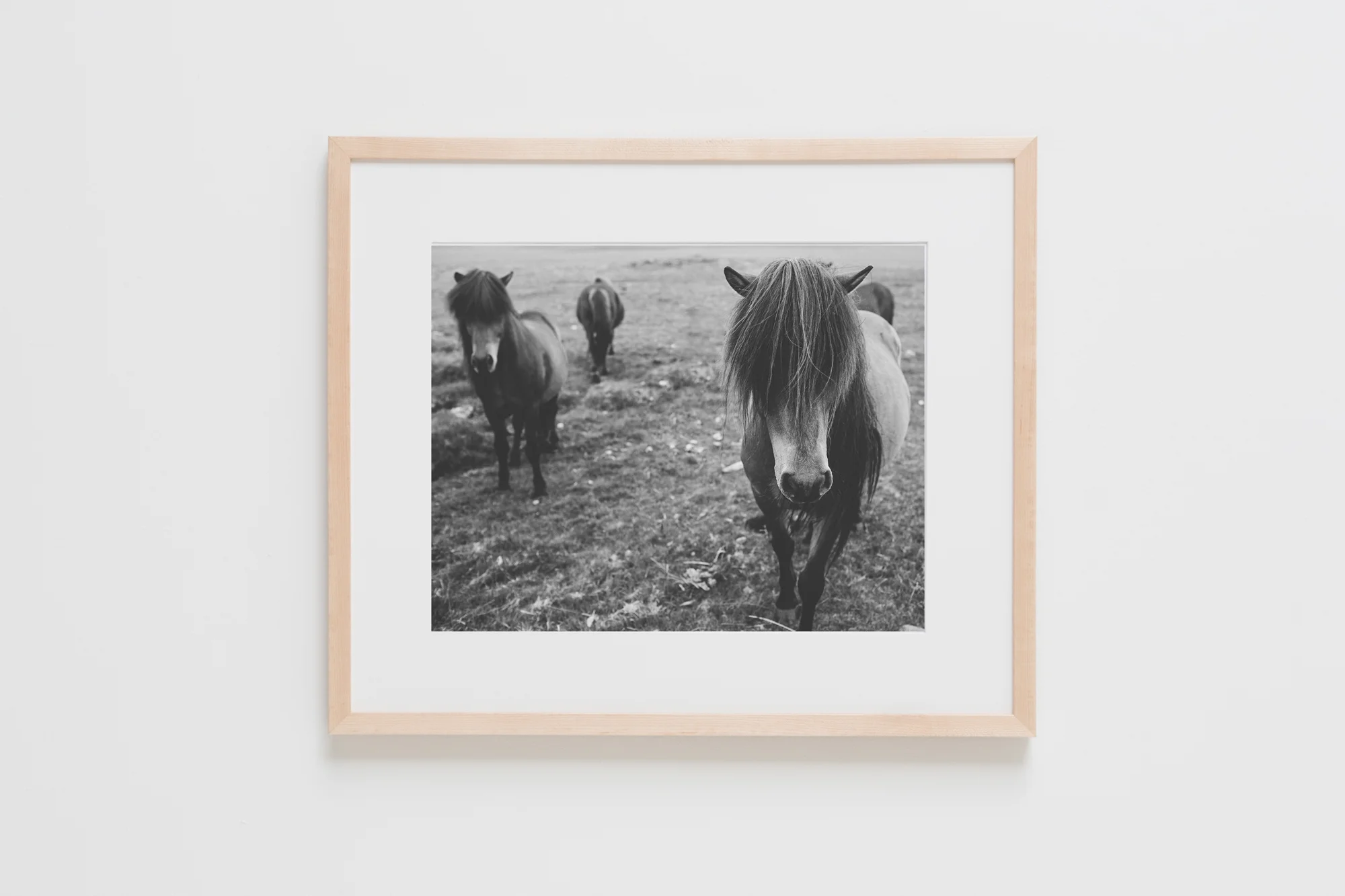 Natural Frames-125.jpg