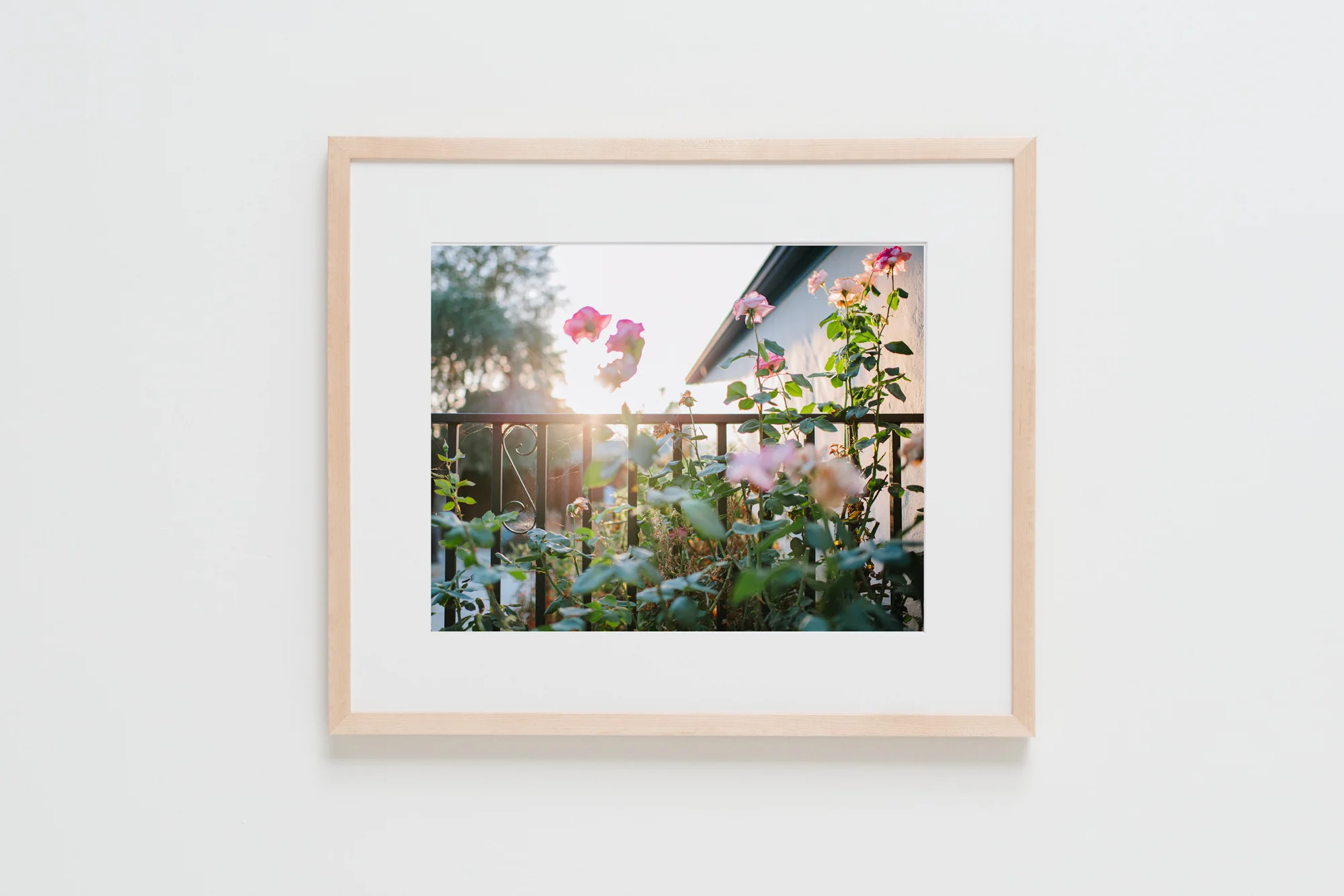 Natural Frames-151.jpg