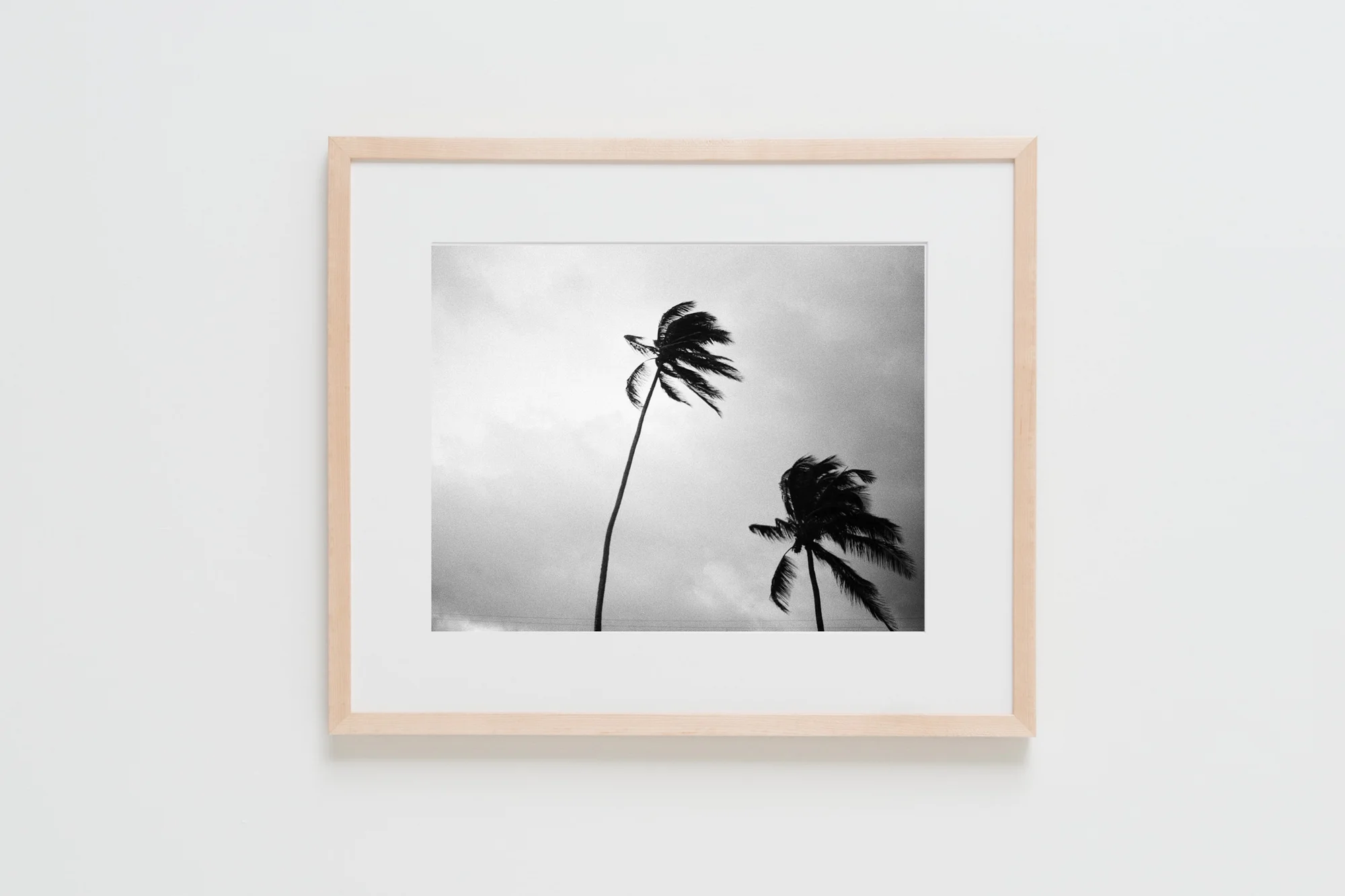 Natural Frames-144.jpg