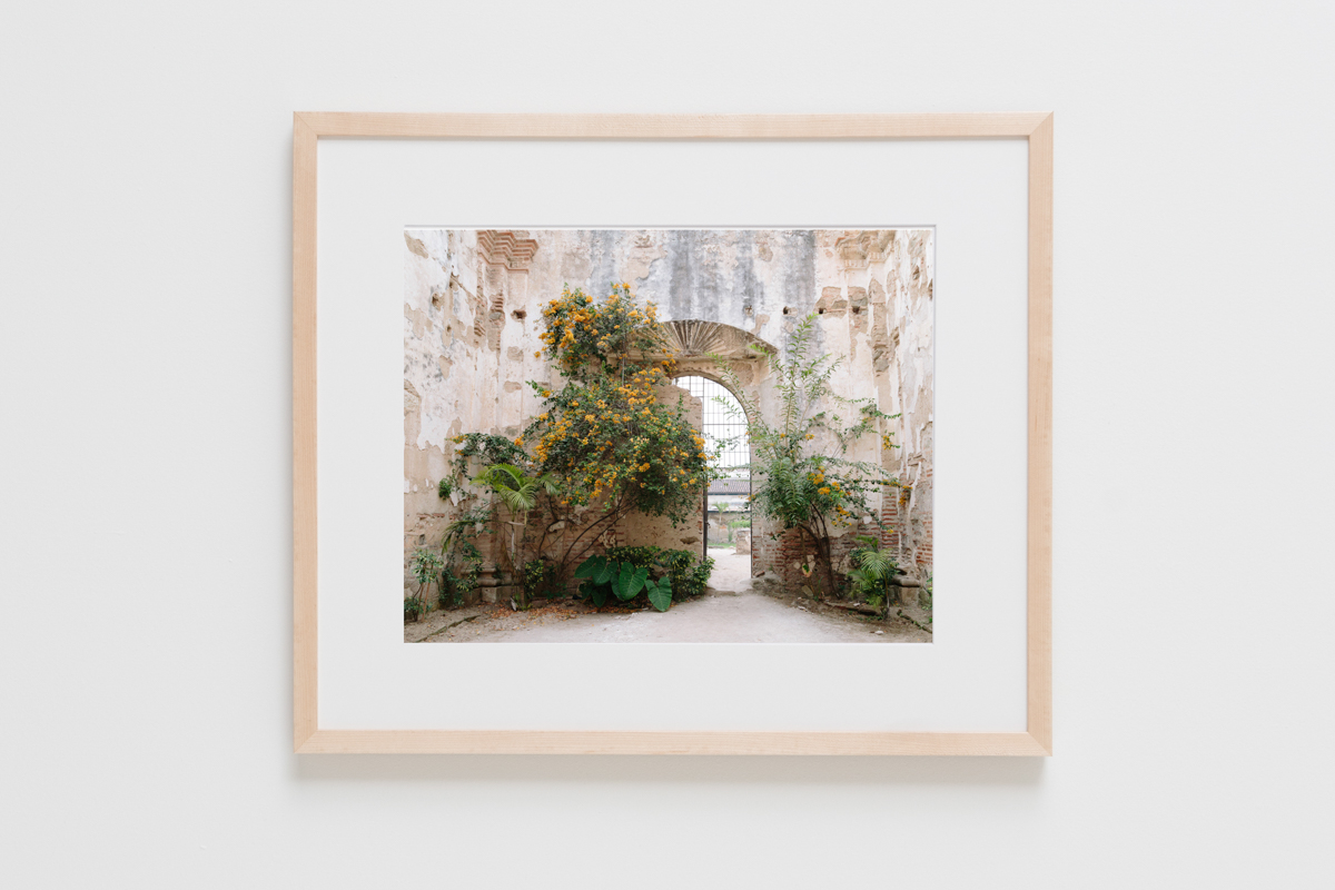 Natural Frames-157.jpg