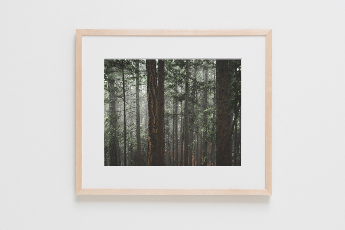 Natural Frames-158.jpg