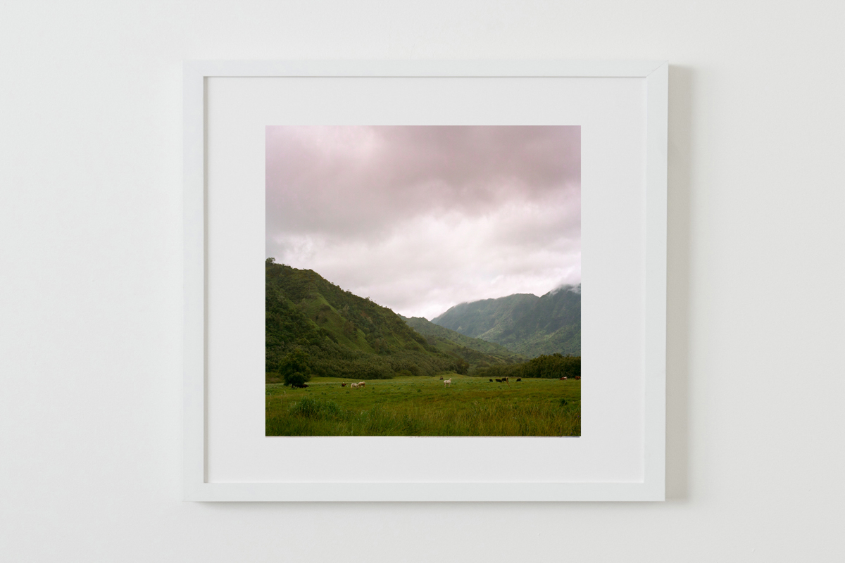 White Frames-18.jpg