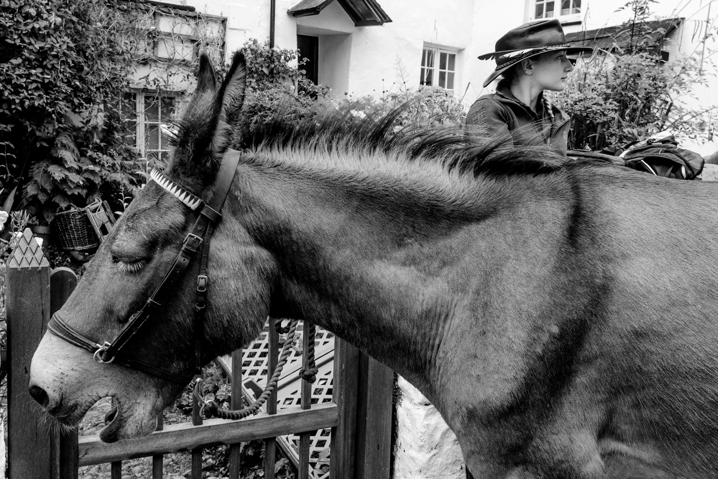 CLOVELLY DEVON copy.jpg