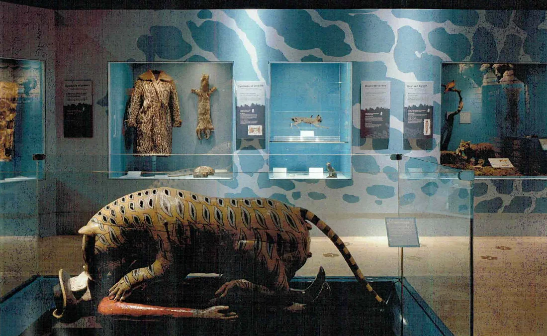 Cats (National Museums of Scotland)
