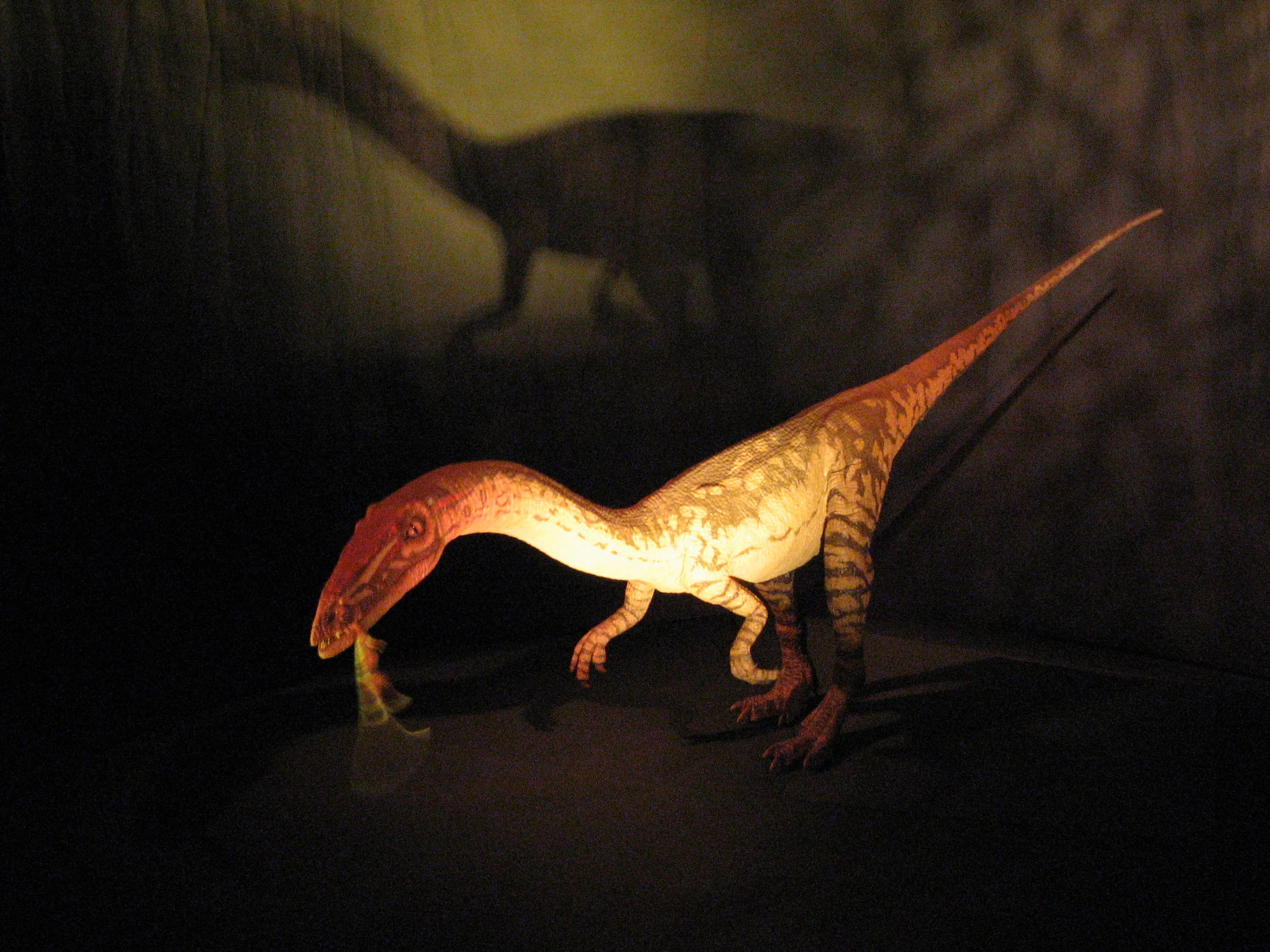 Dino Jaws (Natural History Museum)